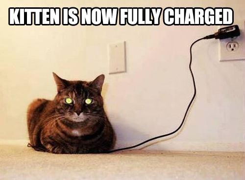 Kitten is now fully charged!