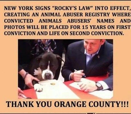 The law protecting animals