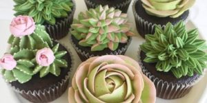 Succulent Cupcakes