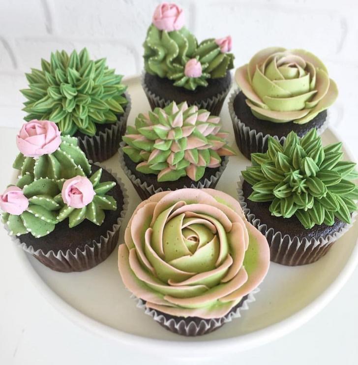 Succulent Cupcakes