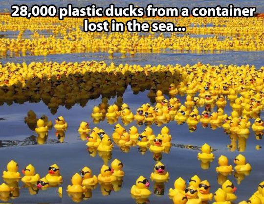 28,001 plastic dicks lost in the sea.