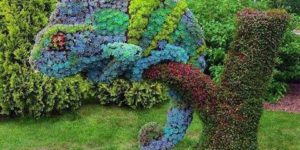 Chameleon topiary.