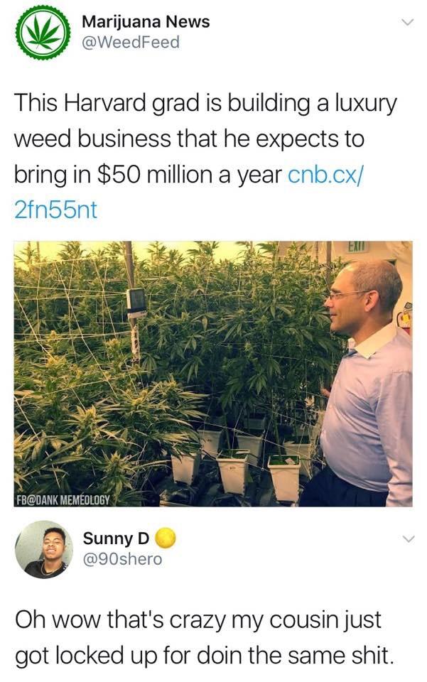 This Harvard grad is building a luxury weed business...