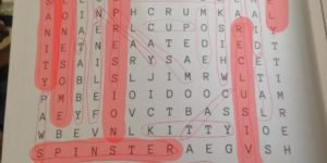 The crazy cat lady word search has a bunch of other words in it’¦