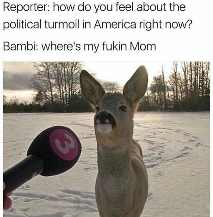 Bambi gets right to the point.