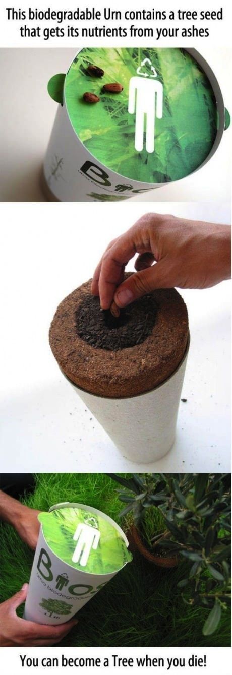 Biodegradable Urn.