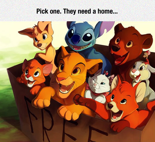 Which would you adopt?