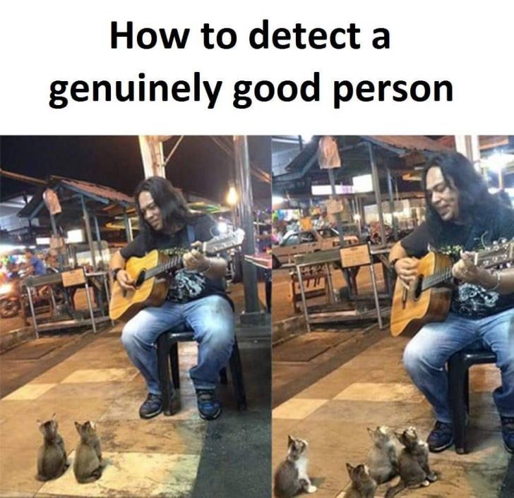 Kitter concert