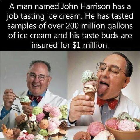 An ice cream tasting job