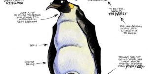 Anatomy of a Penguin