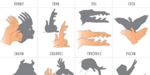 All the hand puppets!