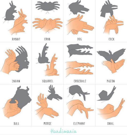 All the hand puppets!