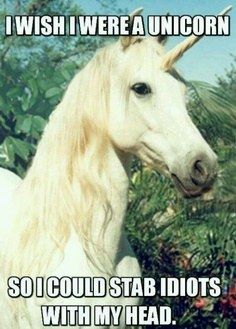 I wish I were a unicorn.