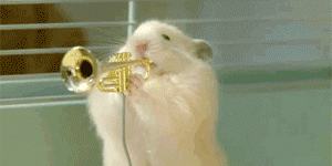 Hamster band.