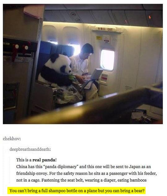 Panda Diplomacy