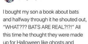 PSA: Bats are real