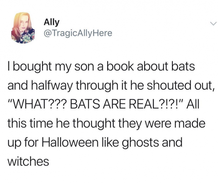 PSA: Bats are real