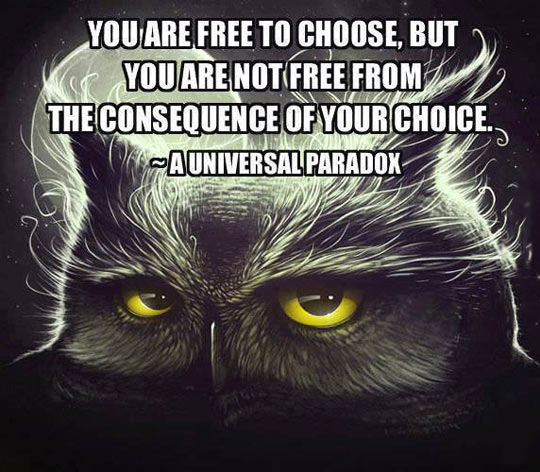 You are free to choose.