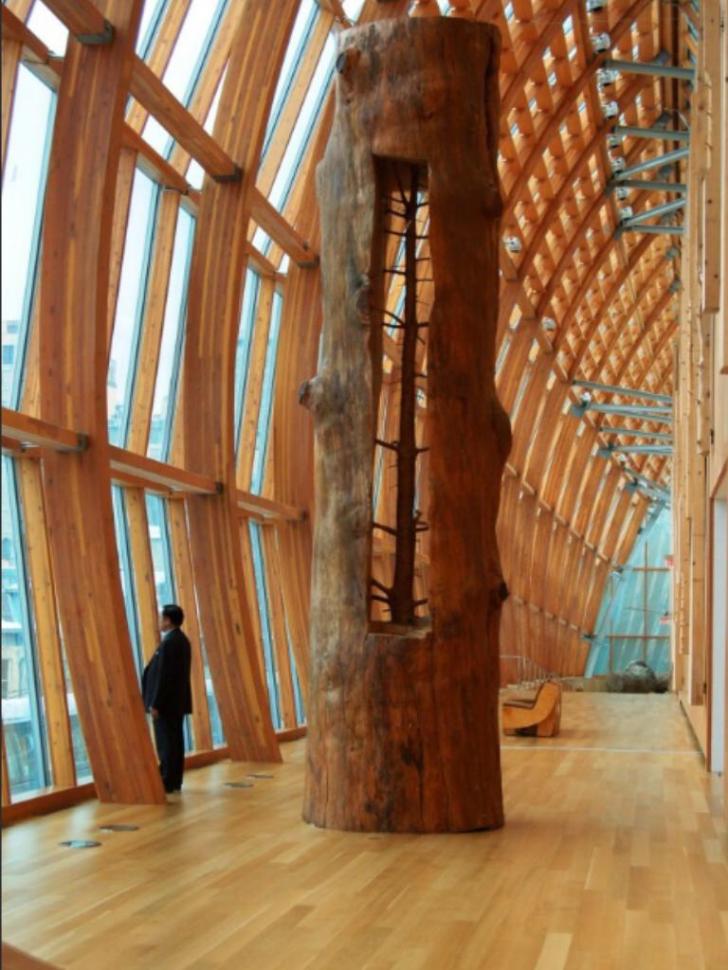 The artist Giuseppe Penone removes the growth rings on a tree to reveal the tree at a younger age