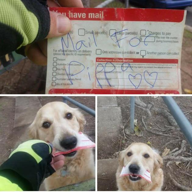 ‘Sometimes, Pippa comes out for the daily delivery but there’s no mail for her to collect. So I have to improvise’ – local postie