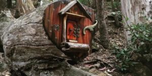 Friend of mine came across this little home on a hike.