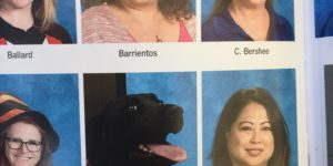 Campus stress dog made the cut in the school yearbook.