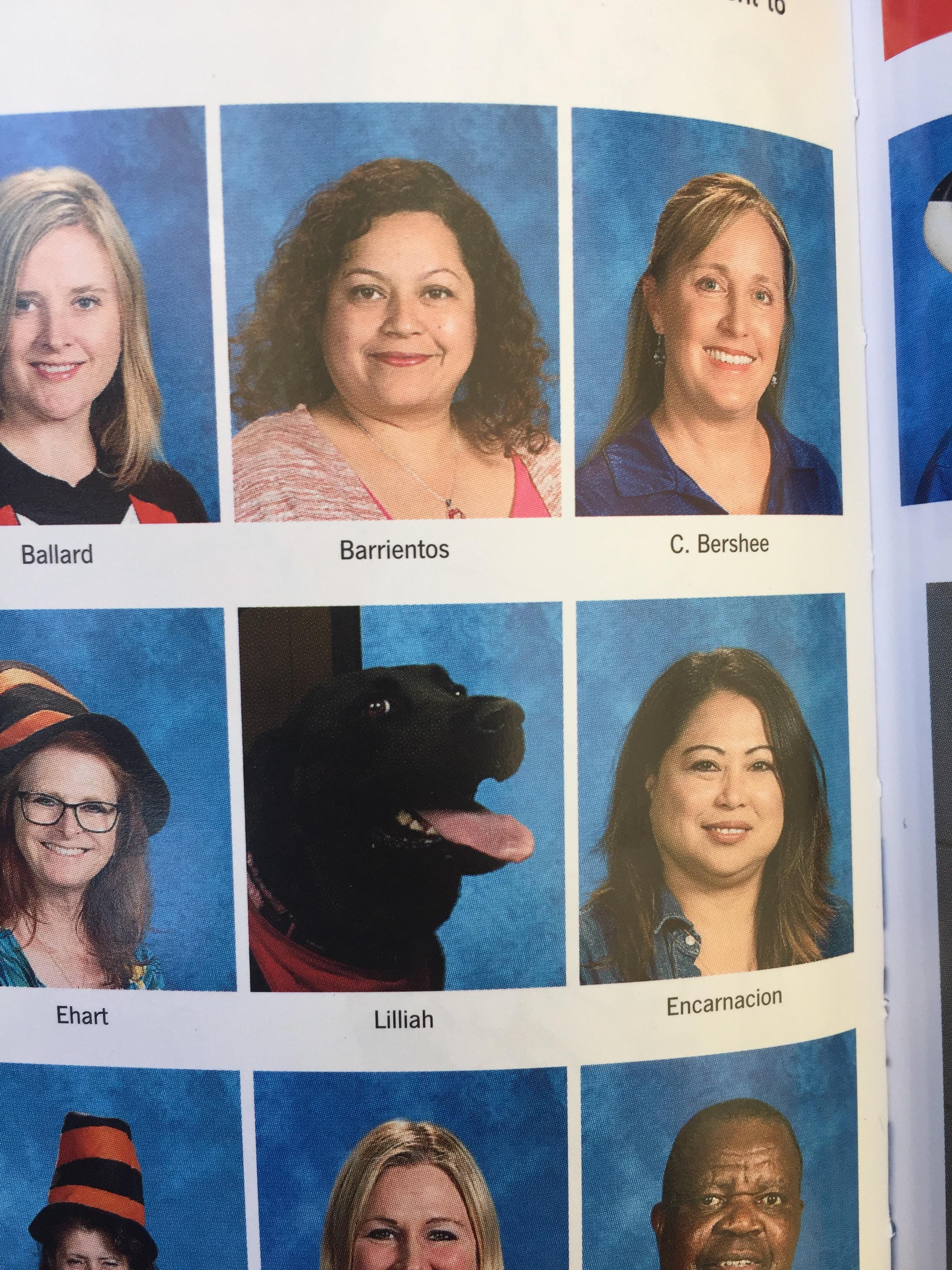 Campus stress dog made the cut in the school yearbook.