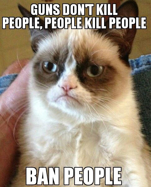 Grumpy cat gets it.