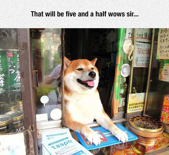 Such Shop, Very Transaction, Much Pay, Doge Working