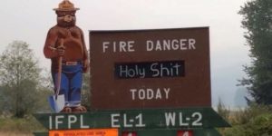 My coworker was fighting the fires in Washington and sent me this.