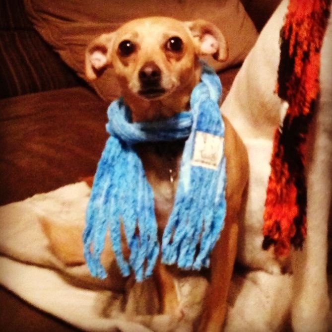 Master has given Dobby a scarf!