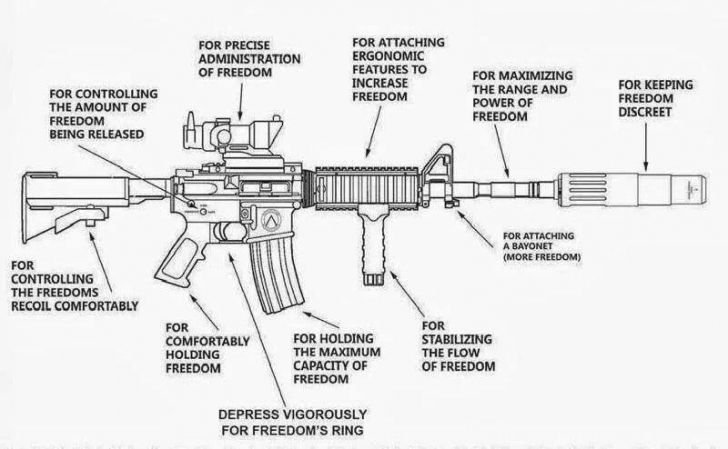 The Anatomy of Freedom