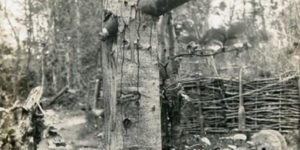 "Beware of death" sign above an unexploded shell in a tree during WW1