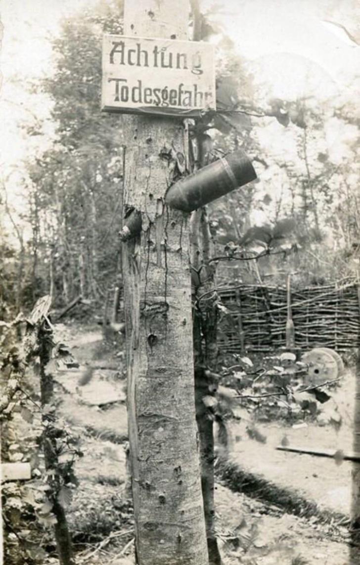 "Beware of death" sign above an unexploded shell in a tree during WW1