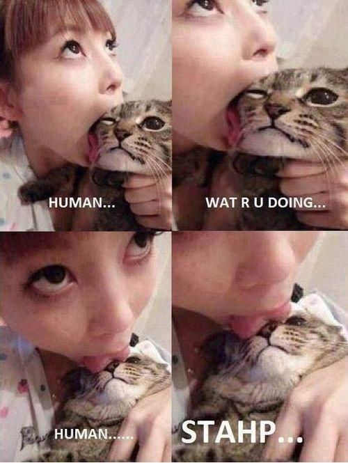 Human?! No!