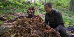 In case you missed Shaq on Bear Grylls the other night.