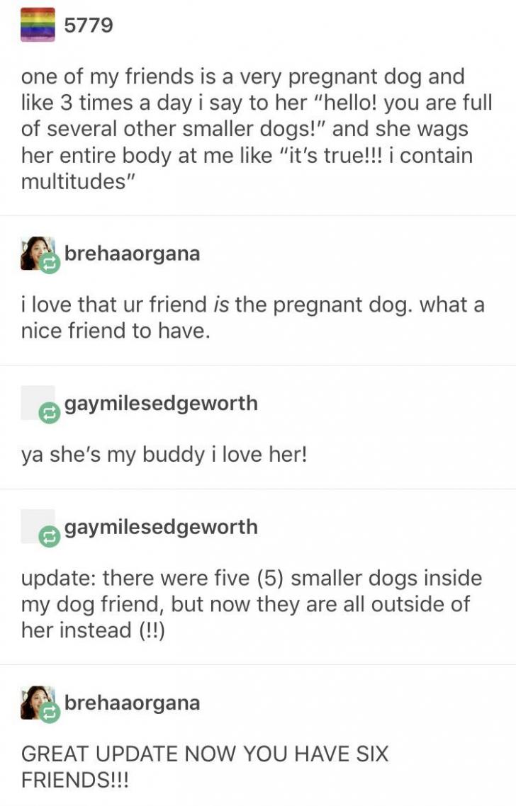 My best friend is a pregnant dog.