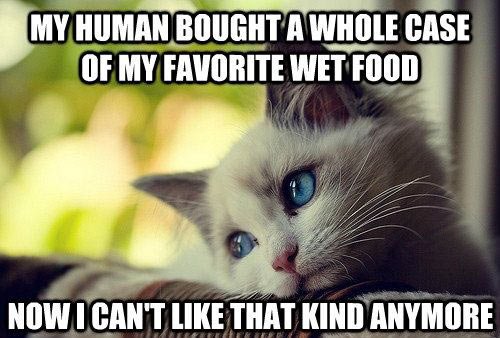 Cat owners will understand...