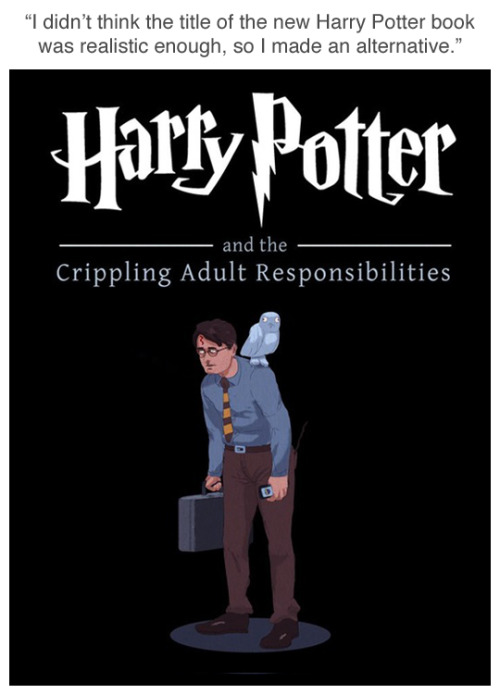 A more accurate title for the new Harry Potter book