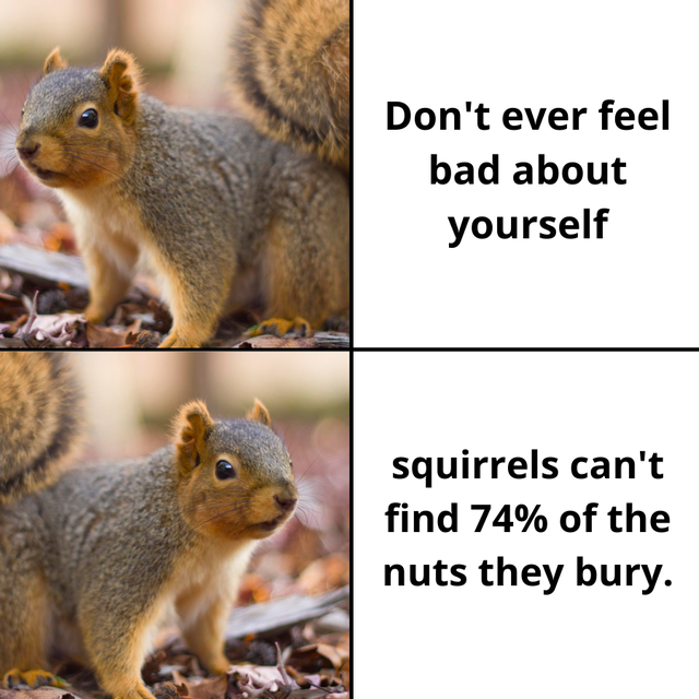 Keep your nuts close.