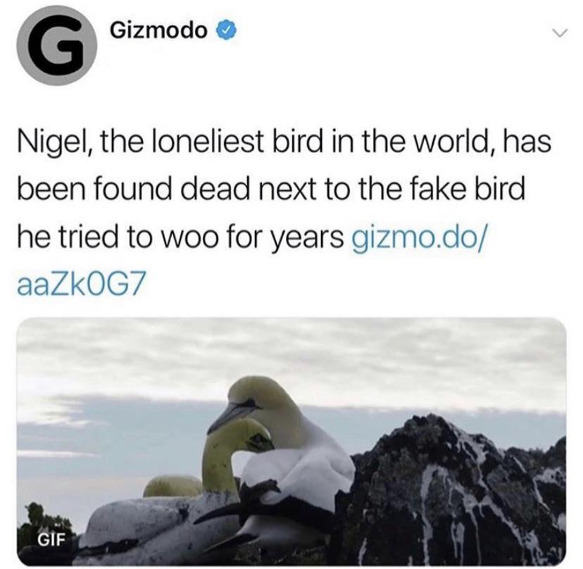 RIP in Peace, Nigel.