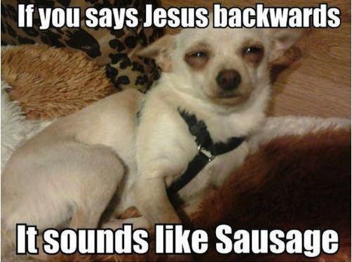 Stoner dog has a revelation.