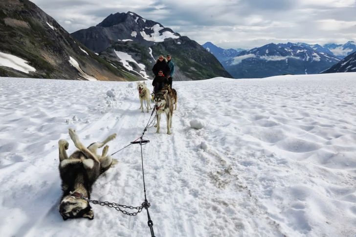 Flat tire in Alaska