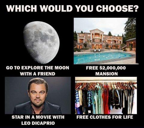 Which would you choose?