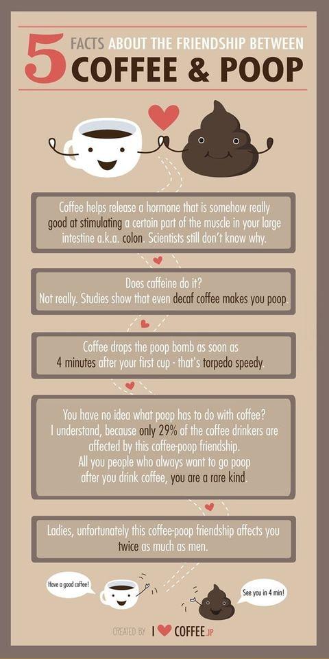5 facts about the friendship between coffee and poop