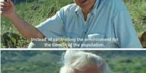 David Attenborough 2020