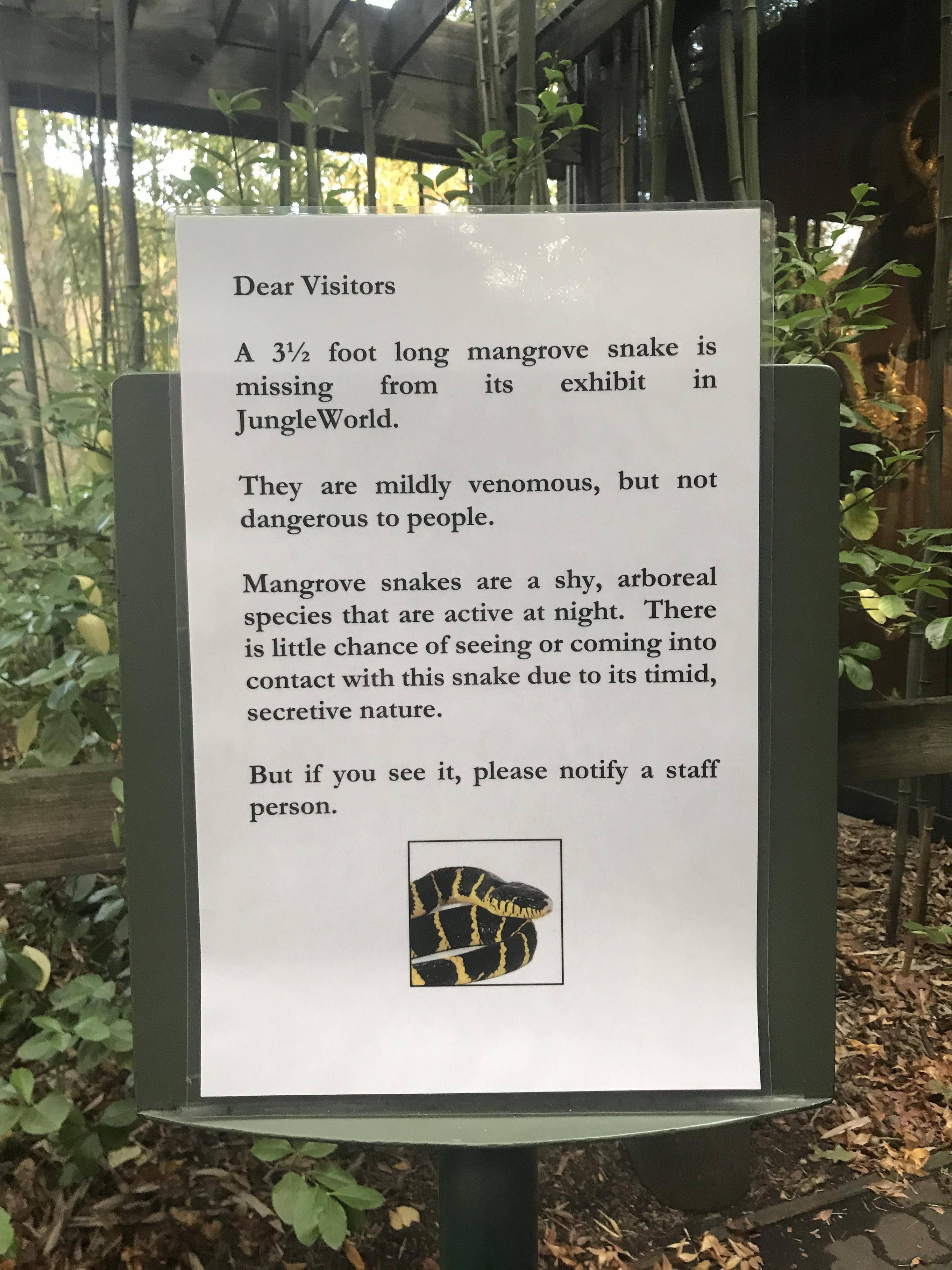 Meanwhile, at The Bronx Zoo...