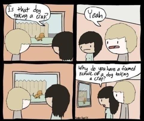 Is that a dog taking a crap?
