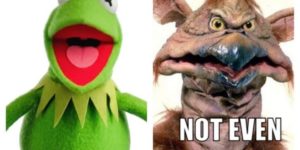 Kermit + meth =
