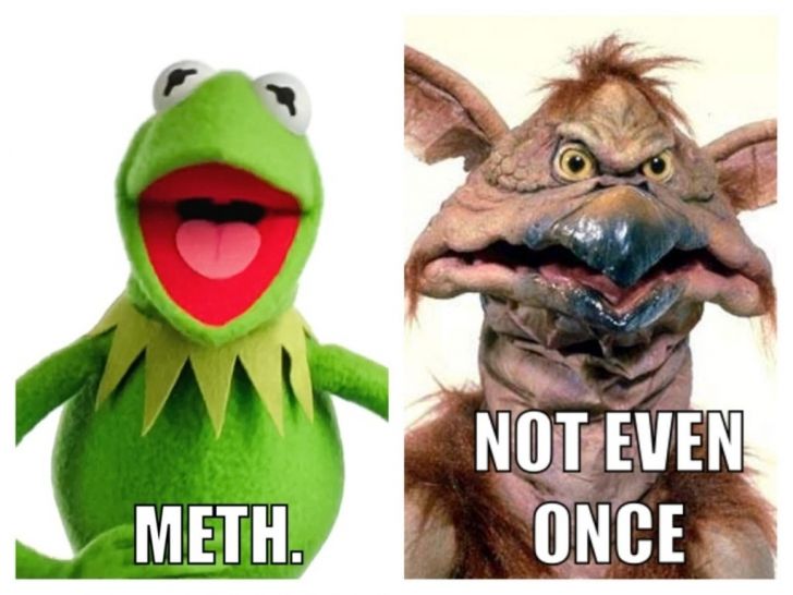 Kermit + meth =